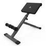 Гиперэкстензия DFC Homegym SJ1006G Серый 777389106