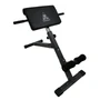 Гиперэкстензия DFC Homegym SJ1007 1743753124