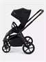 Коляска 2 в 1 Rant Flex Soft Therm Gold black 1162183739