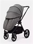 Коляска 2 в 1 Rant Teo Soft Grey 908624101