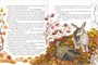 Библиотека Школы Семи Гномов 4+. Серая Шейка и другие сказки 1904375897