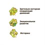 Развивающая деревянная игра Bondibon «Собери рисунок» (арт. ВВ4186) 1723021678