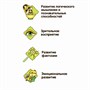 Игровой набор Bondibon "Слайм Бум: Радужный матовый слайм" (арт. ВВ3763) 625113628
