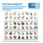 Модуль "Животные России" Сенсориум MS0102/3 848032482