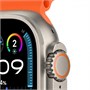 Часы Apple Watch Ultra 2 (2023) GPS 49 мм, корпус натуральный титан (Natural Titanium), ремешок Ocean, цвет: белый (White) 1876307774