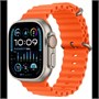 Часы Apple Watch Ultra 2 (2024) GPS 49 мм, корпус черный титан (Black Titanium), миланский сетчатый браслет, цвет: черный титан, размер: L 780532135