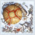 Fateforge: Хроники Каана. Битва бессмертных 1484487874