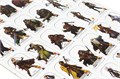 Pathfinder. Настольная ролевая игра. Вторая редакция. Стартовый набор 72791136